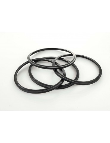 Jeu de 4 joints de Porte pour Autoclave Advance Pro®