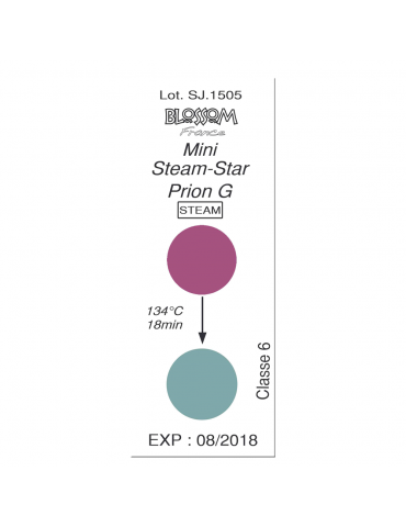 Mini Steam-Star Prion G -...